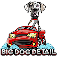 Big Dog Detail