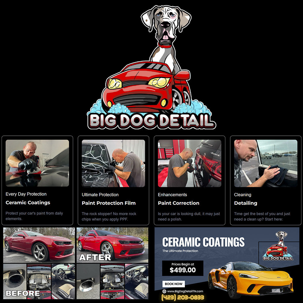 Big Dog Detail